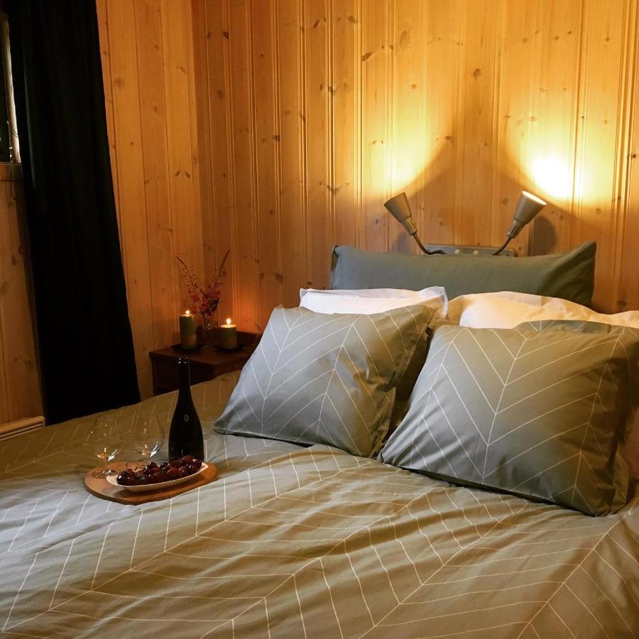 Reinunga Eco Hytta - Mountain Lodge Near Myrdal Accessible Only By Train Or Bike Zewnętrze zdjęcie
