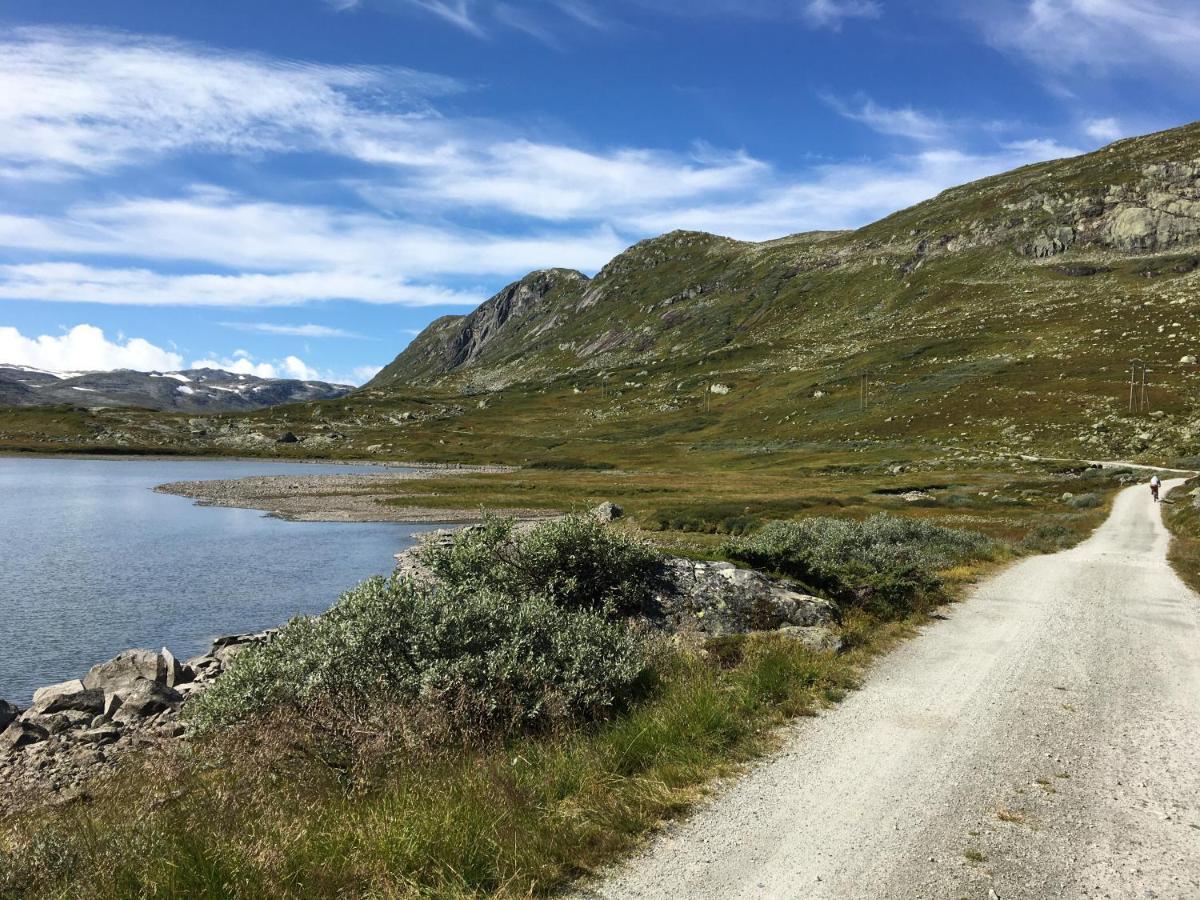 Reinunga Eco Hytta - Mountain Lodge Near Myrdal Accessible Only By Train Or Bike Zewnętrze zdjęcie