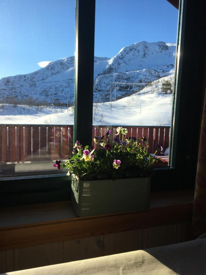 Reinunga Eco Hytta - Mountain Lodge Near Myrdal Accessible Only By Train Or Bike Zewnętrze zdjęcie